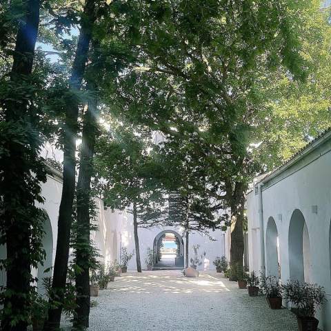 Hacienda de Mare - Poza 013