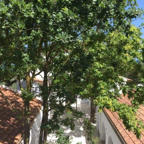 Hacienda de Mare - Poza 018