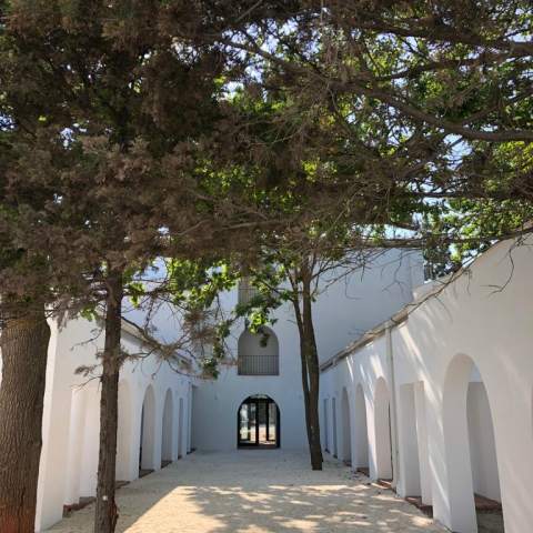 Hacienda de Mare - Poza 020