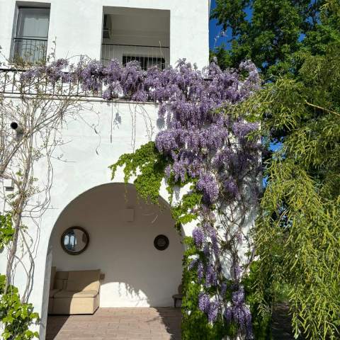 Hacienda de Mare 250214 - Poza 003