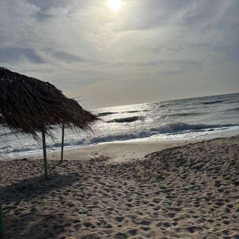 Hacienda de Mare 250214 - Poza 006