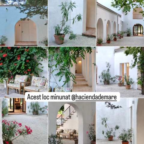 Hacienda de Mare 250214 - Poza 014