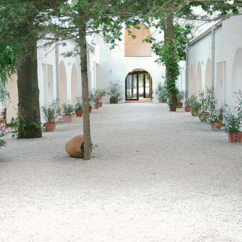 Hacienda de Mare 250214 - Poza 015