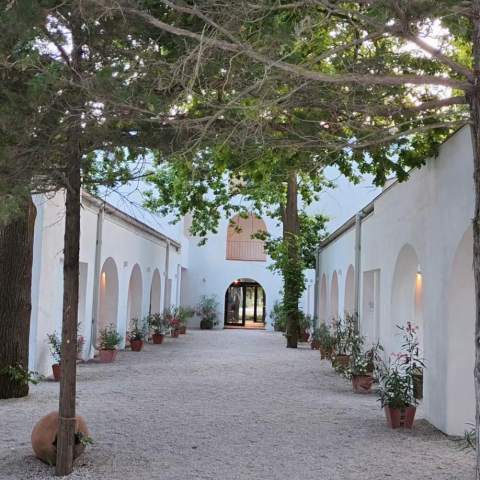 Hacienda de Mare 250214 - Poza 016