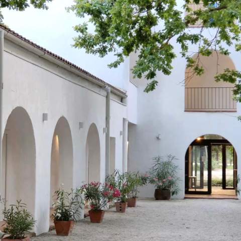 Hacienda de Mare 250214 - Poza 018