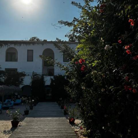 Hacienda de Mare 250214 - Poza 019