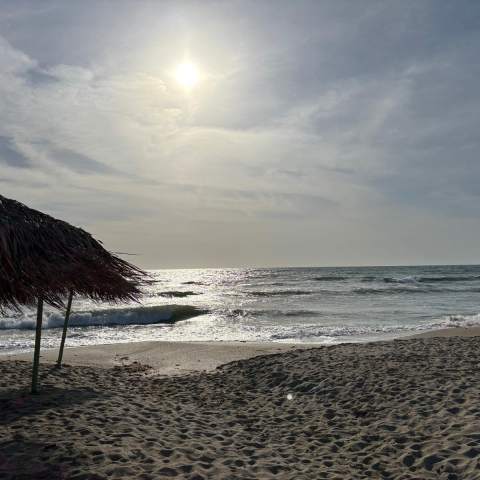 Plaja Copahavana 250214 - Poza 001