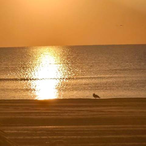 Plaja Copahavana 250214 - Poza 002