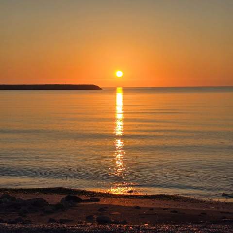 Plaja Copahavana 250214 - Poza 004