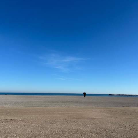 Plaja Copahavana 250214 - Poza 005