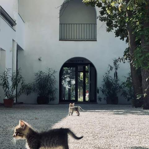 Hacienda de Mare - 250220 - 4