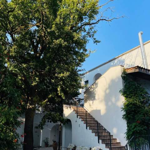 Hacienda de Mare - 250220 - 5